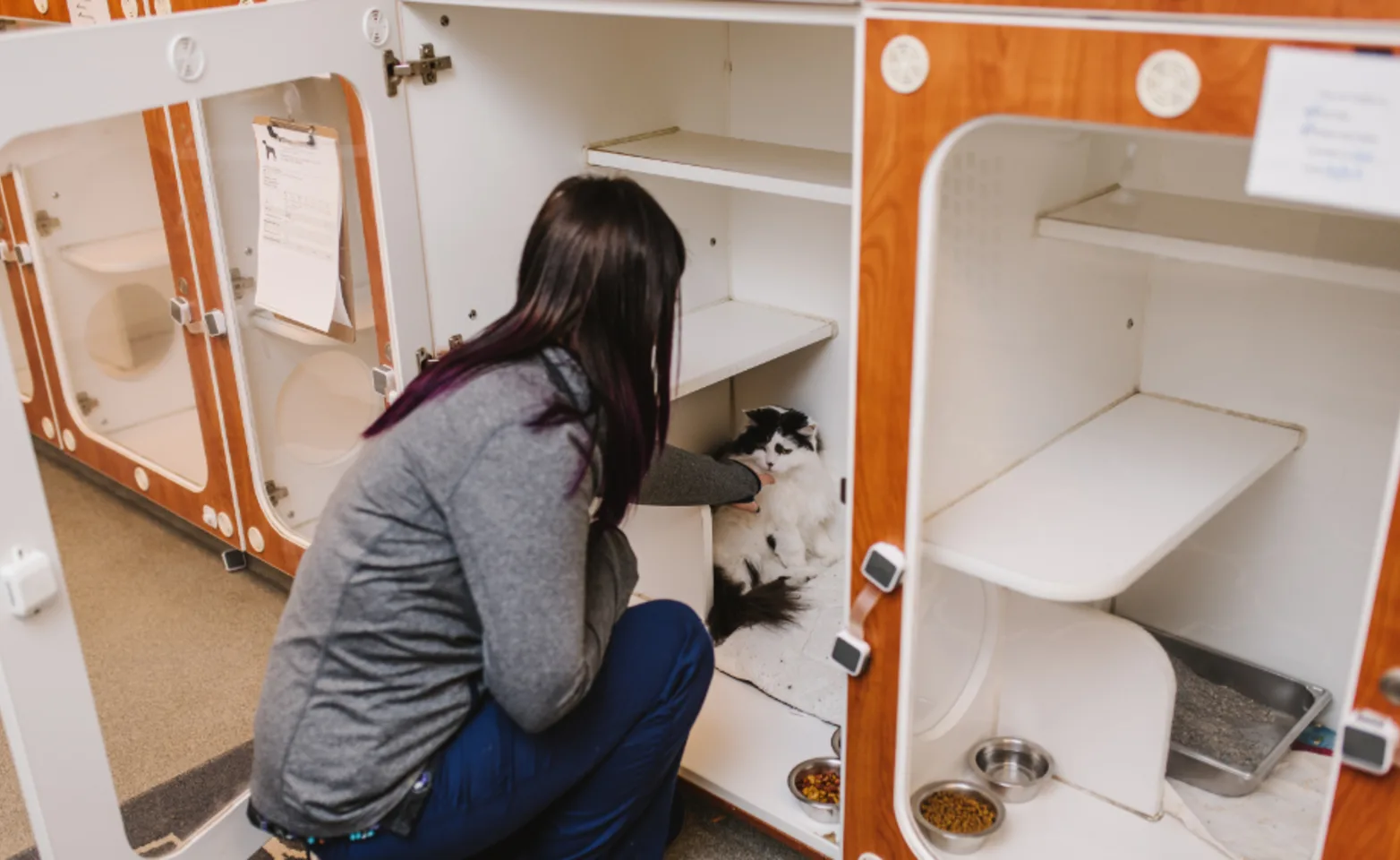 Nurse Petting Cat in Boarding Room